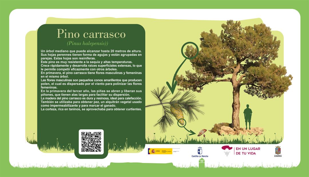 Imagen 15