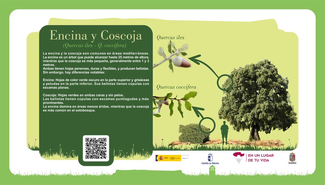 Imagen 16