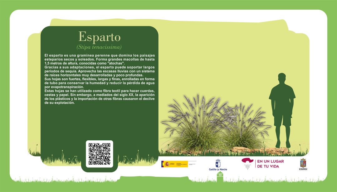 Imagen 17