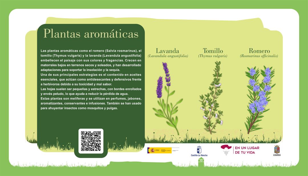 Imagen 18
