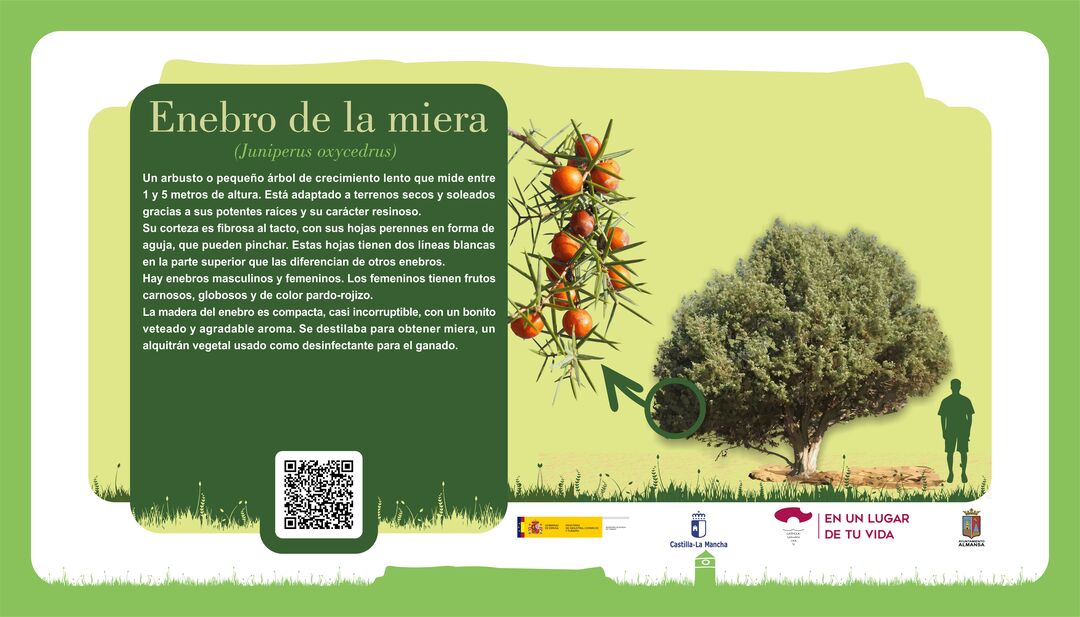 Imagen 19
