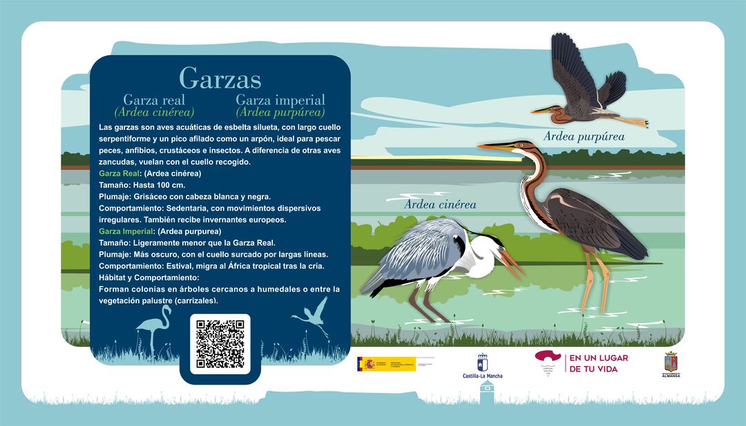 Garza real