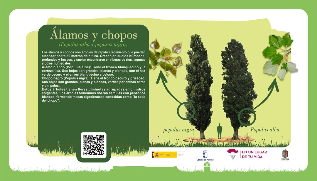 Imagen 20