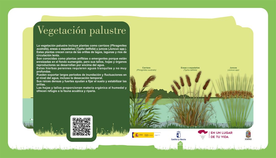 Imagen 22