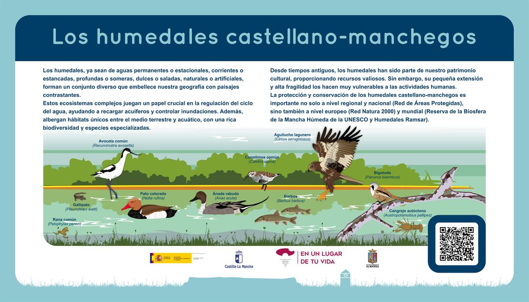 Imagen 23