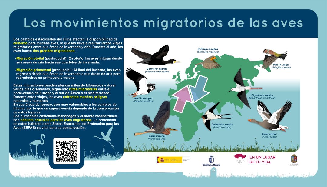 Imagen 26